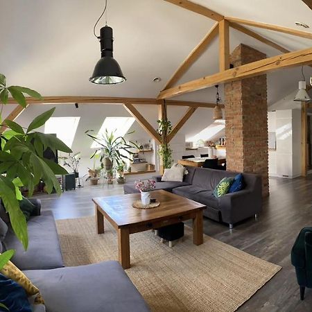 Zeromskiego Apartament プシェムィシル エクステリア 写真