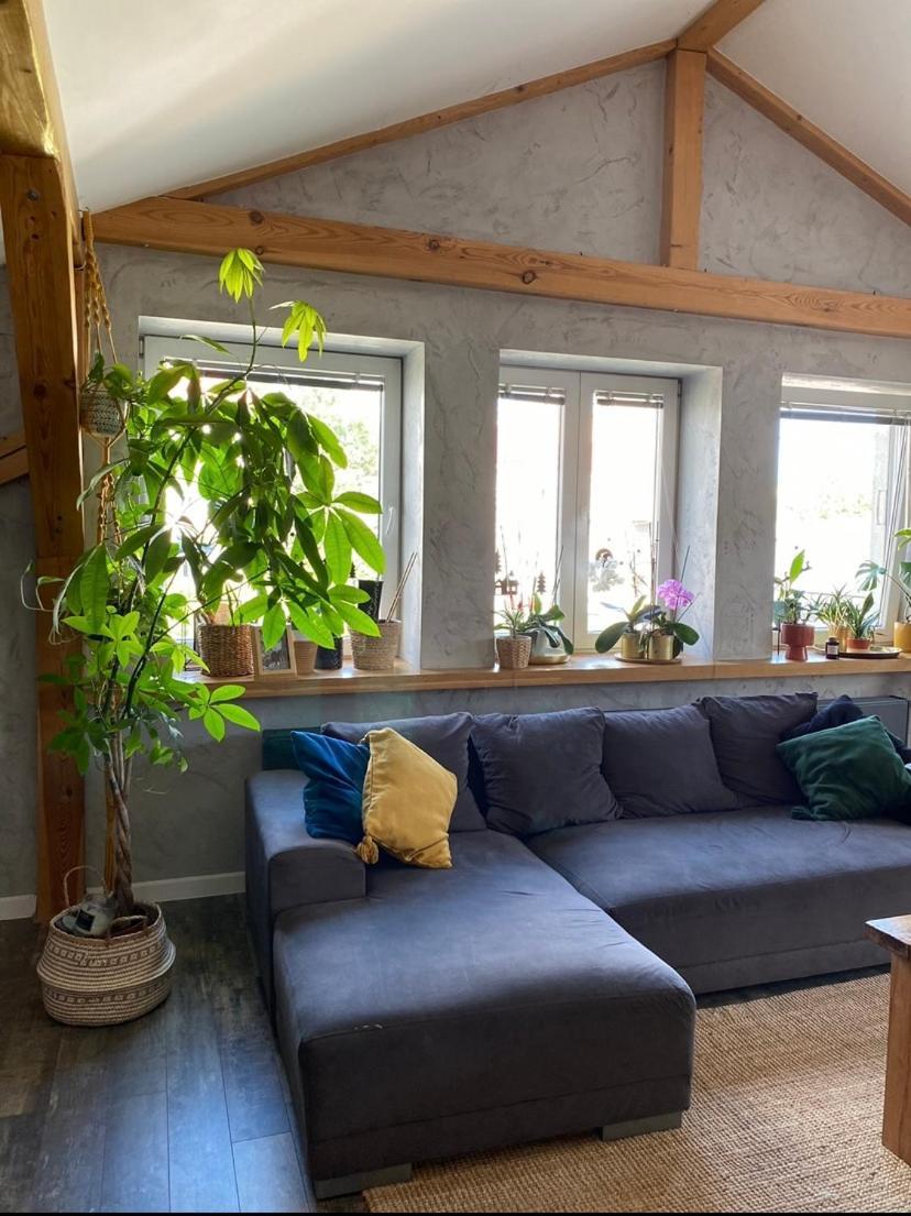 Zeromskiego Apartament プシェムィシル エクステリア 写真